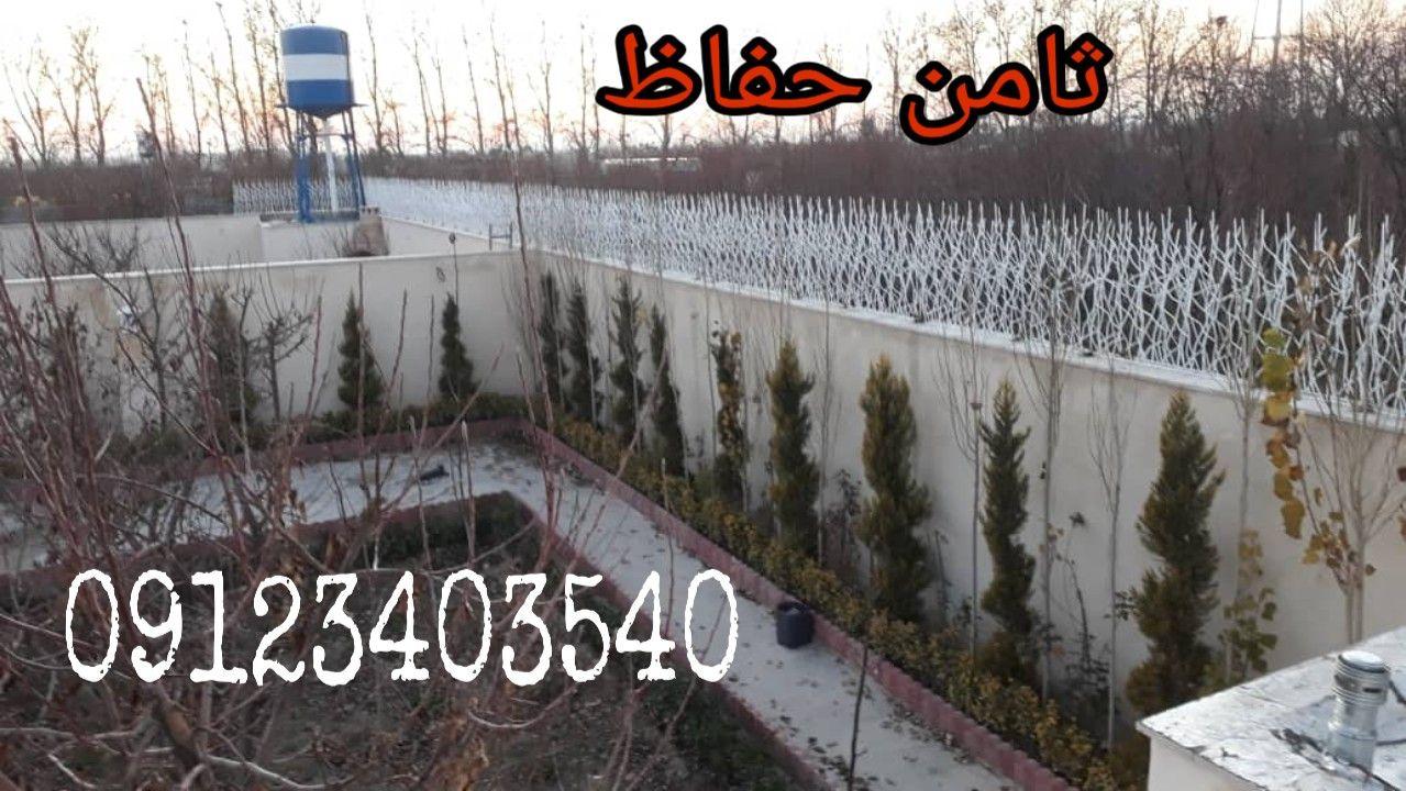 حفاظ شاخ گوزنی در تهران