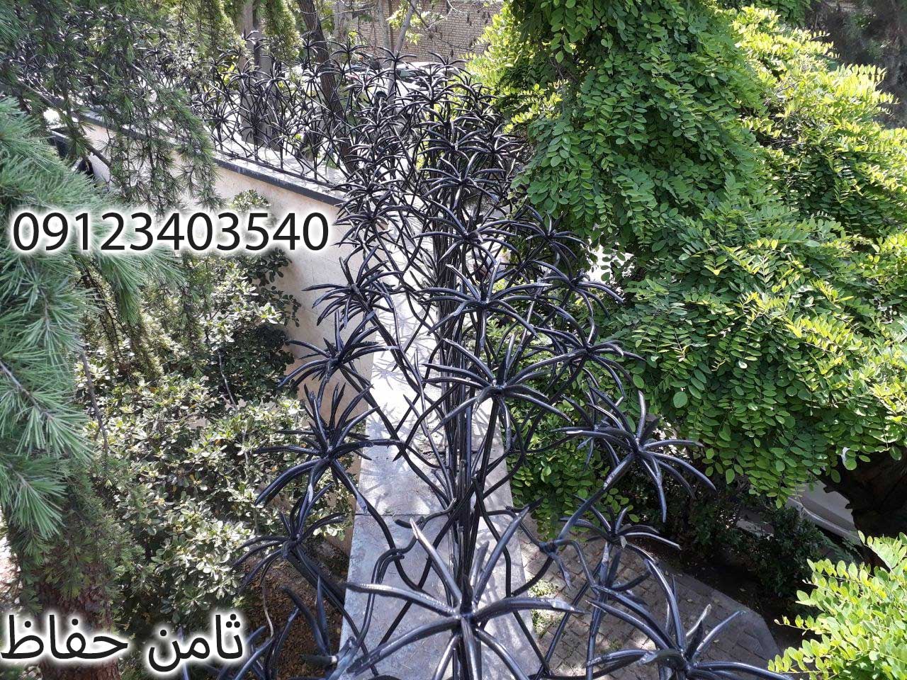 حفاظ نخل مرداب روی دیوار کوتاه