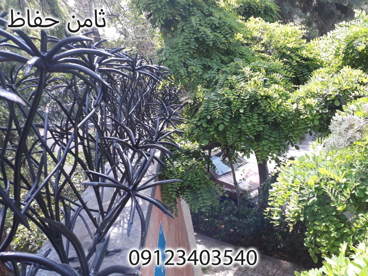 حفاظ نخل مرداب روی دیوار
