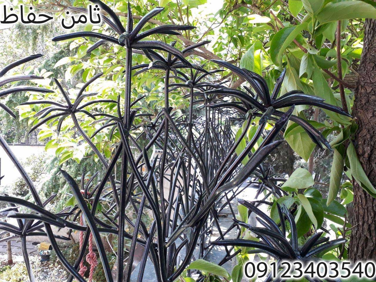 حفاظ نخل مرداب , حفاظ روی دیوار
