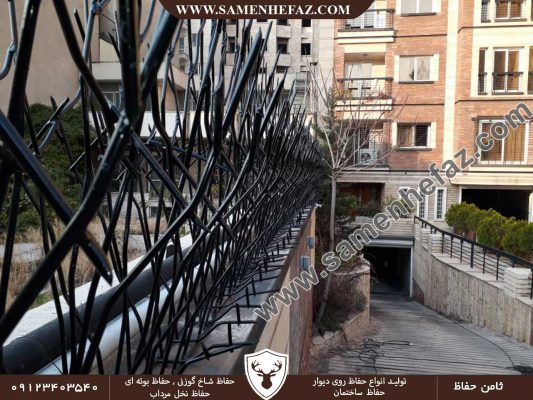 حفاظ شاخ گوزنی در دماوند